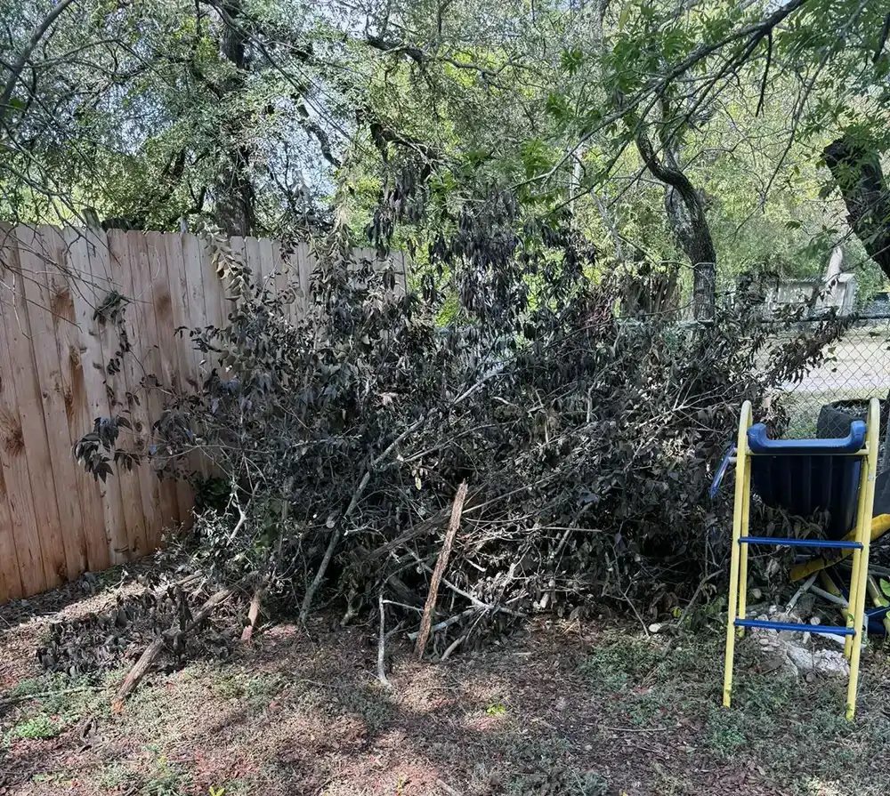 Brush Clearing
